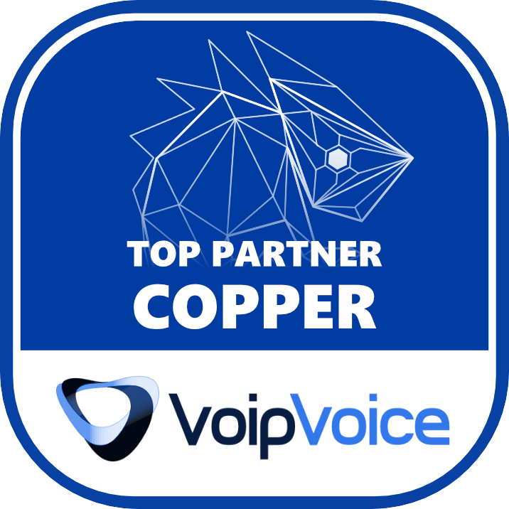 VoipVoice
